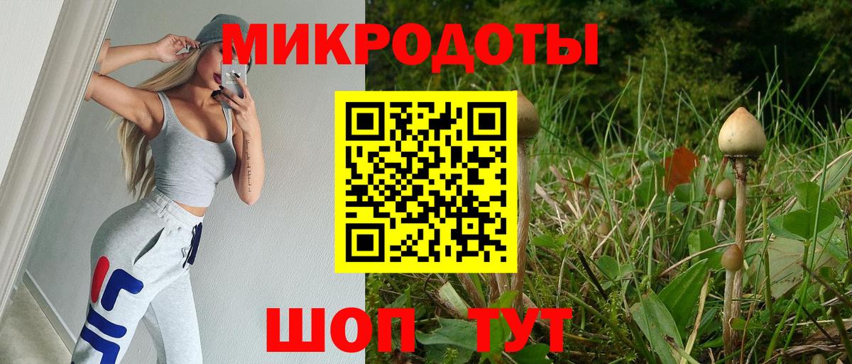 Псилоцибиновые грибы мицелий Алапаевск